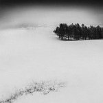 664 - THE TREE WAY - BUZUROVIC DAMIR - serbia <div